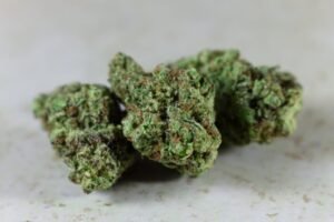 stoni-5-300x200 Zombie Breath Weed Strain 7 Epic Facts You Must Discover