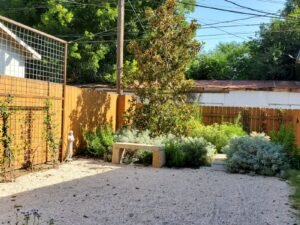 Transformed-Landscaping-Co-5-300x225 The Ultimate Guide to Modern Landscape Design in Austin, TX