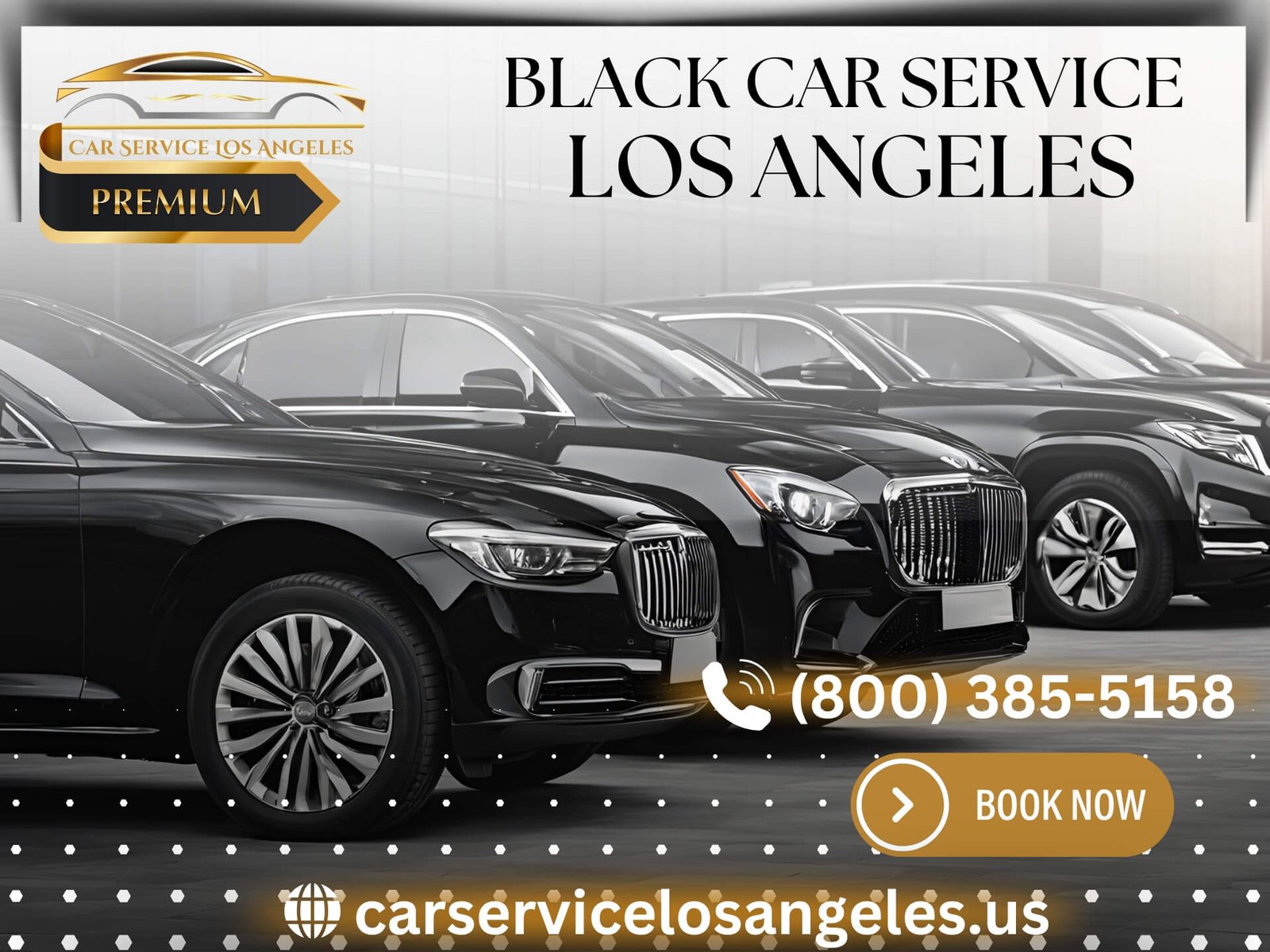 Black Car Service Santa Monica