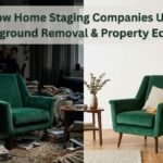 How Home Staging Companies Use Background Removal & Property Editing