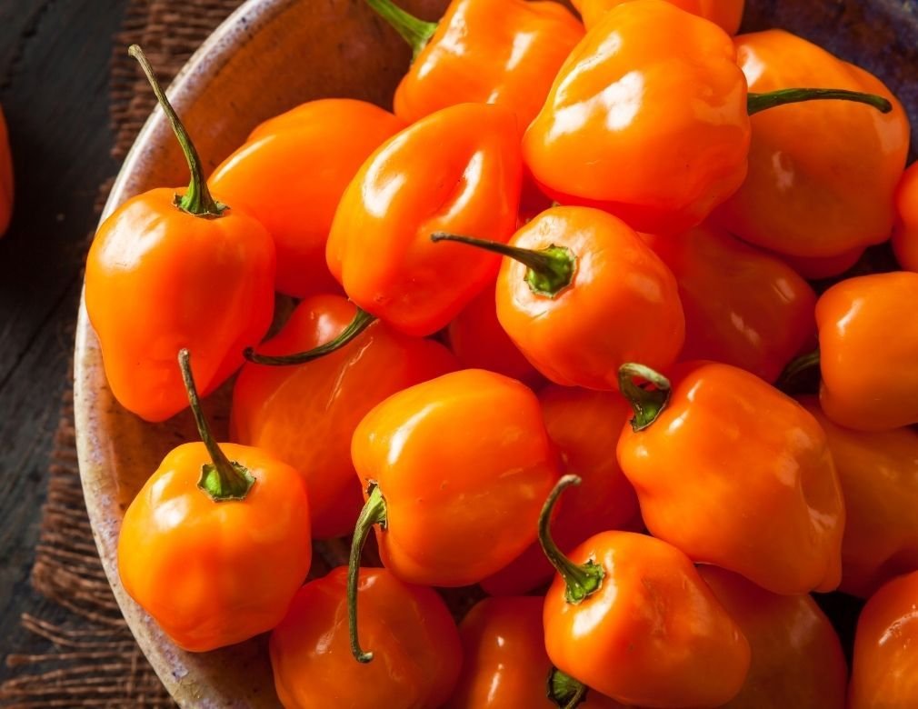 Extreme Heat, Extreme Demand: The Business Case for Habanero Flavor Seasoning in the Fast-Growing Fiery Foods Category