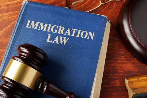 Immigration Lawyers