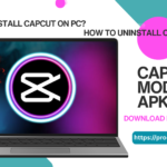 CapCut