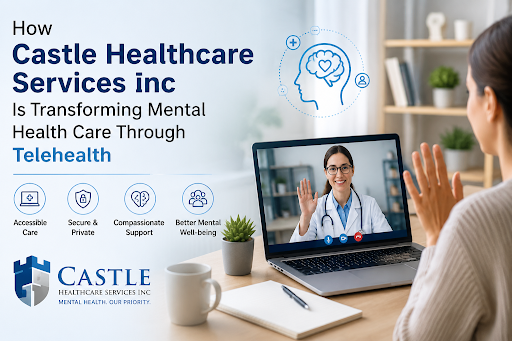 Castle Healthcare Services Inc