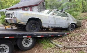 Unwanted Car Removal Pinelands