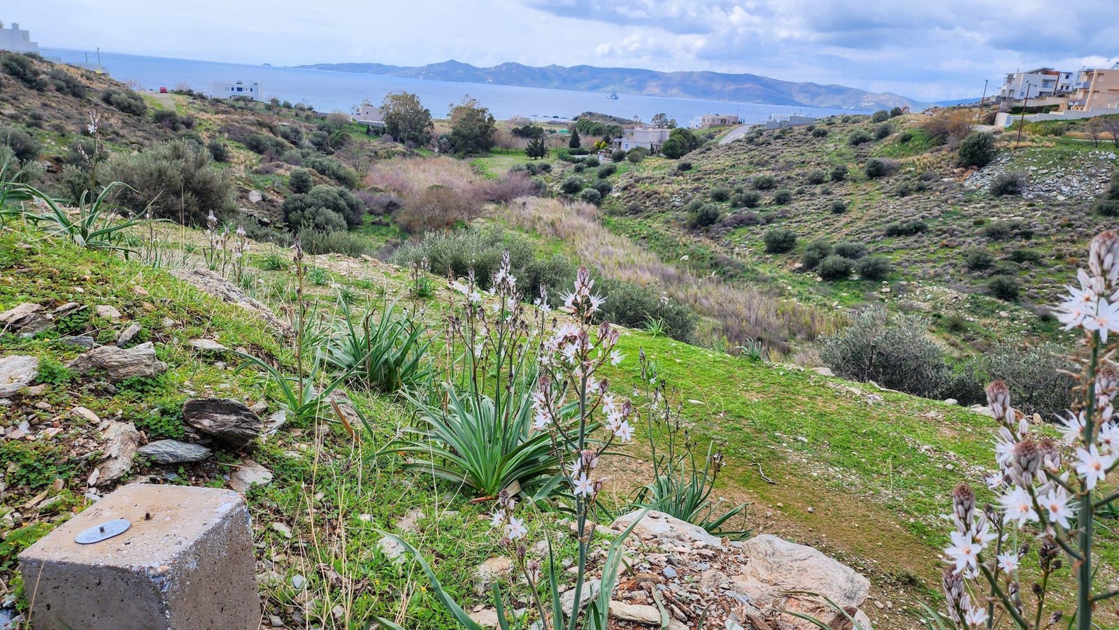 Greece vacation rental investment(השכרת נופש להשקעה ביוון)
