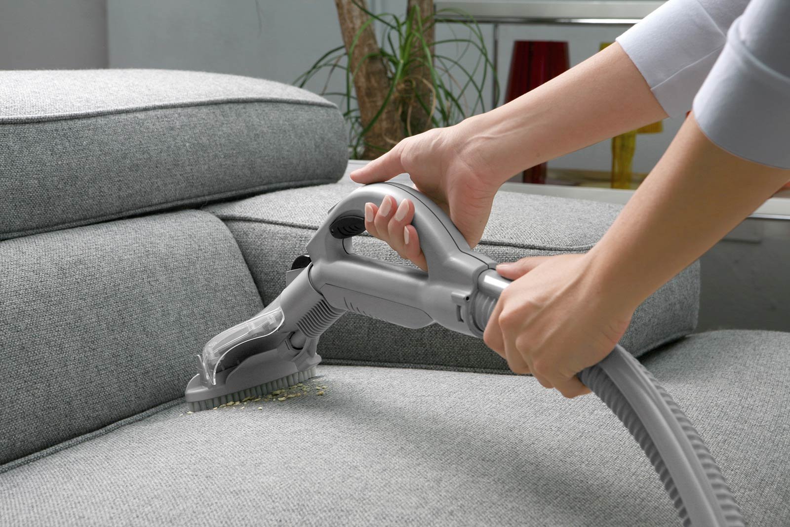 Carpet Cleaning Lakewood CO