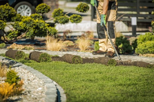 Landscaping Services Dexter MI, Landscape renovation