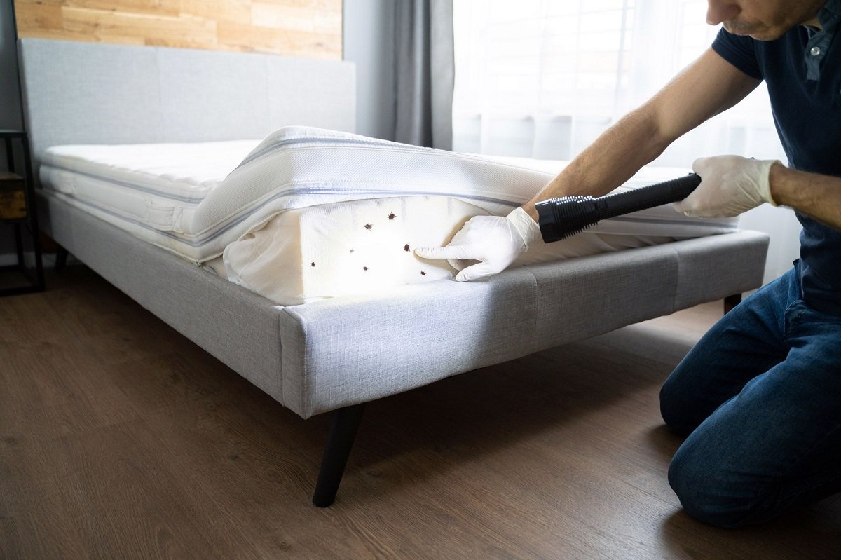 Bed Bug Mattress Removal Service Fort Wayne IN, Emergency Pest Control Services
