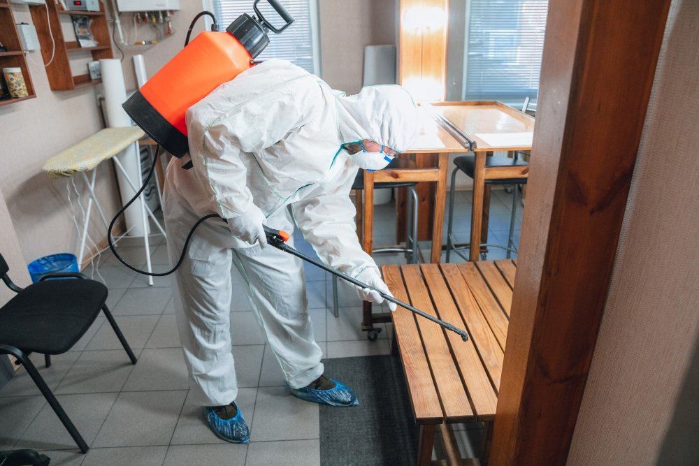 Termite Removal​ Services Raleigh NC, Termite Exterminators​ Company