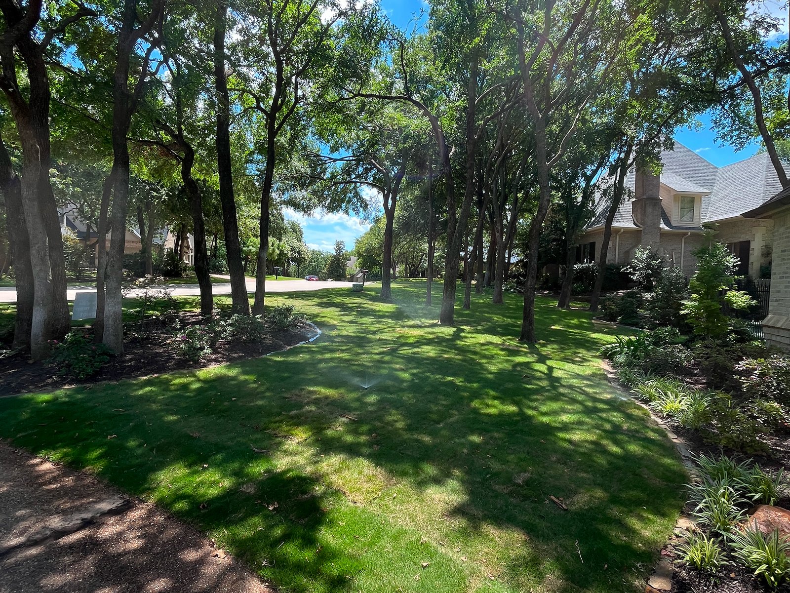 residential sod installation services