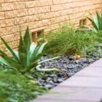 Outdoor Landscape Design