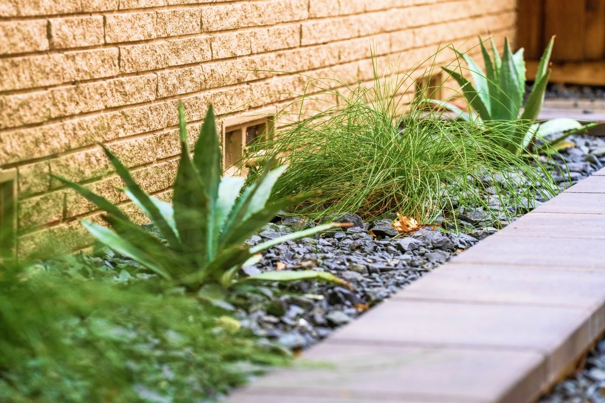 Outdoor Landscape Design